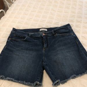 Loft Denim Jean Shorts